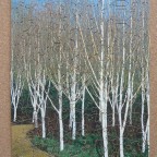 Wentworth "Anglesey Abbey,Cambridgeshire" 140 Teile