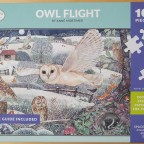 Mortimer_Owl Flight 26.06.2024 19-14-24