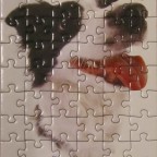 (Hund 3) 54 PIATNIK 2006 (Hana Deka Mix) Nr. 501890 Hoch Bestand Nr. 128 2286