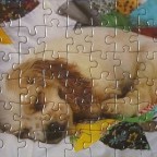 Schlafender Hund 54 FX SCHMID R.Cushman Hayes Sweeties 93317.6 17,5 x 12,5 Breit Bestand Nr. 075 2517