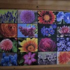 Grafika 1000 Teile Blüten