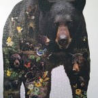 forest bear