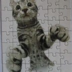 American Shorthair (4/16)	54	PIATNIK	2004 Yoneo Morita	Mini-Puzzles HANA DEKA (Katzen)	5017	12,5 x 17,5	Hoch	Bestand Nr. 044 2271