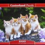 The Cat Crew	1000	CASTORLAND	2010 - 2011	Puzzle	C-101344	680 x 470	Breit	Bestand Nr. 003