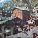 Alpen-Ziegen (Saas Fee)