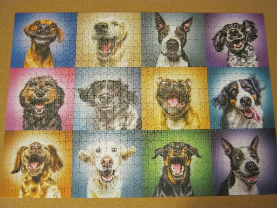 Funny dog portraits, 1000 Teile (Trefl)