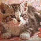 Cats	60	FAVORIT		420-1680B  32 x 23	Breit	Bestand Nr. 162 2527