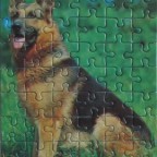 (Schäferhund)	54	SCHMIDT	A.Schmidecker	Mini-Puzzle	625 2434A	Hoch 12,5 x 17,5		Bestand Nr. 087 2240