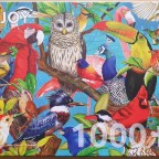Reichow_Feathered Frenzy