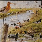 Vogels