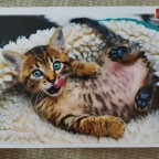 Cheerful kitten, 1000 Teile (Trefl)