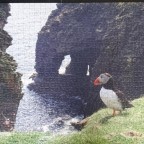 Puffins at the Isle of Noss, Shetland