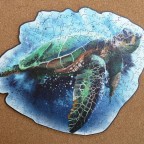 Unbekannter Hersteller "Schildkröte" ??? Teile