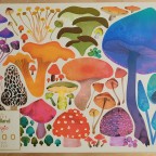 Woodland Magic