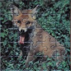 4 Mini Puzzle - Fuchs