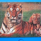 (Tiger)	54	FX SCHMID	Tony Stone, London	54 Mini-Puzzle	93316.9	12,5 x 17,5	Hoch	Bestand Nr. 108 2303
