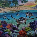 Das Rennen der Babyschildkröten