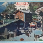 Alpen-Ziegen (Saas Fee)