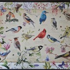 Birds & Flowers