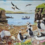 Puffin Parade