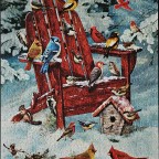 Adirondack Birds
