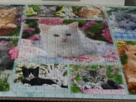 Katzencollage - Puzzle von Kiesel an Bonnie