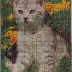 (Katze)	54	SCHMIDT	A.Schmidecker	Mini-Puzzle	625 2434B	Hoch 12,5 x 17,5		Bestand Nr. 087 2236