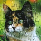 (Katze)	54	SCHMIDT	Bildagentur Geduldig	(Mini Puzzle 54)	02430	125x175	Hoch	Bestand Nr. 109 2306